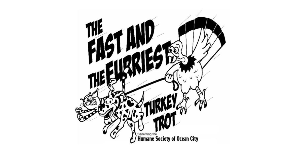 Image: Annual Fast & Furriest 5k Turkey Trot Ocean City
